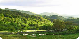 Wales Scenery